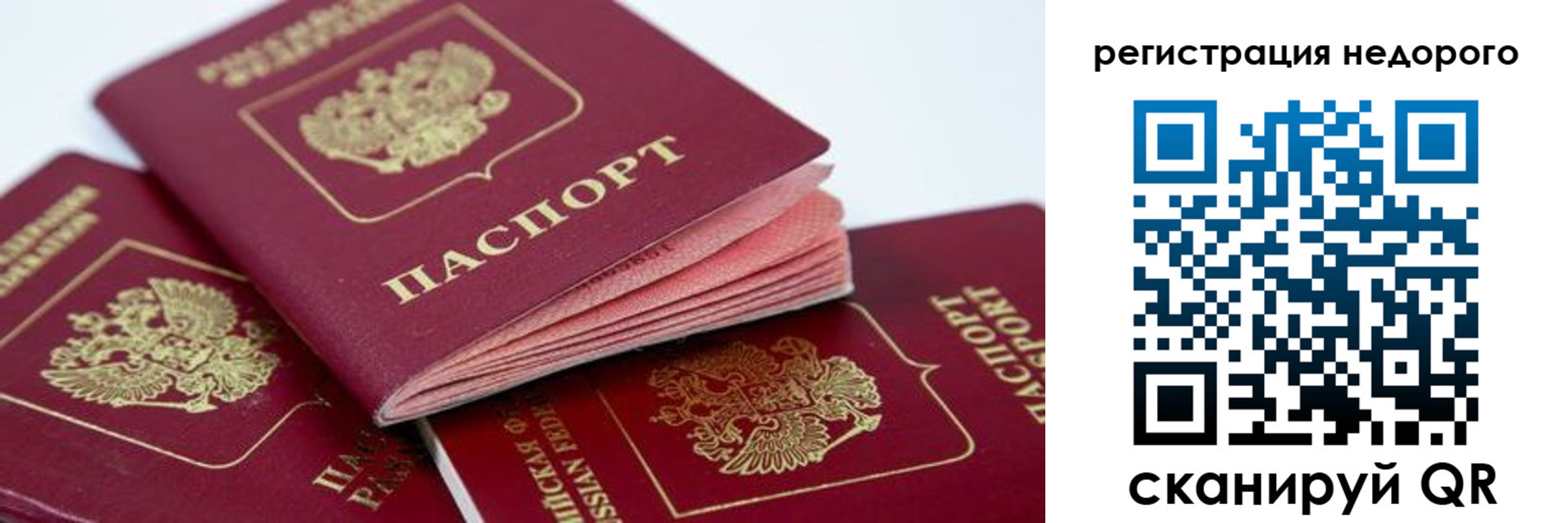где прописаться в Электрогорске